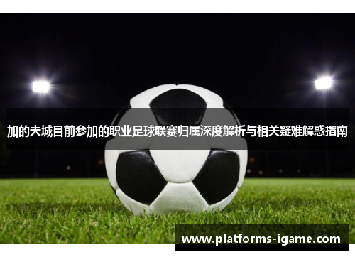 加的夫城目前参加的职业足球联赛归属深度解析与相关疑难解惑指南