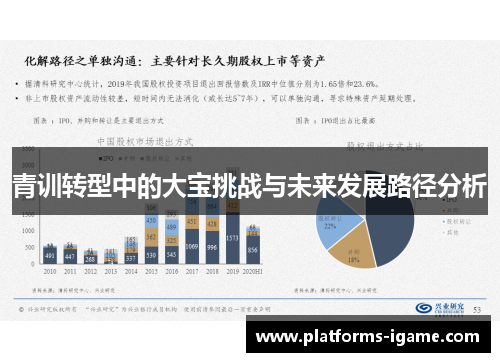 青训转型中的大宝挑战与未来发展路径分析